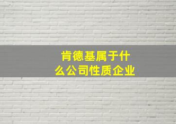 肯德基属于什么公司性质企业