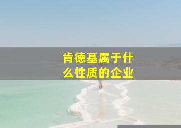 肯德基属于什么性质的企业