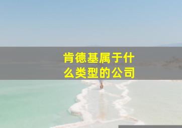 肯德基属于什么类型的公司