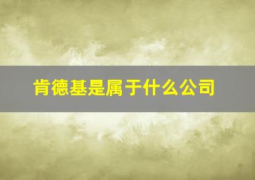 肯德基是属于什么公司