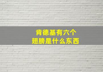 肯德基有六个翅膀是什么东西