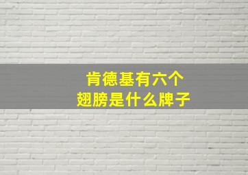 肯德基有六个翅膀是什么牌子