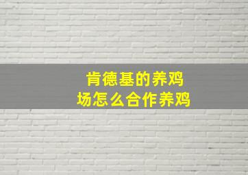 肯德基的养鸡场怎么合作养鸡