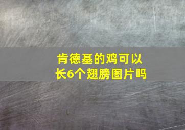 肯德基的鸡可以长6个翅膀图片吗