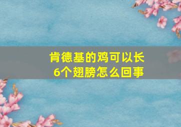 肯德基的鸡可以长6个翅膀怎么回事