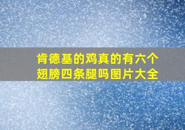 肯德基的鸡真的有六个翅膀四条腿吗图片大全