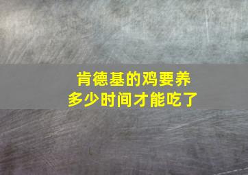 肯德基的鸡要养多少时间才能吃了