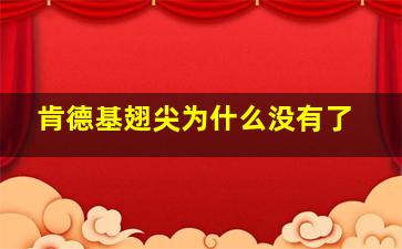 肯德基翅尖为什么没有了