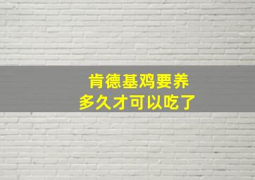 肯德基鸡要养多久才可以吃了