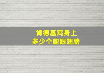 肯德基鸡身上多少个腿跟翅膀