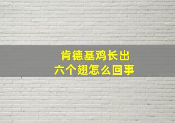 肯德基鸡长出六个翅怎么回事