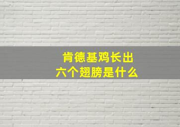 肯德基鸡长出六个翅膀是什么