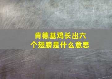 肯德基鸡长出六个翅膀是什么意思