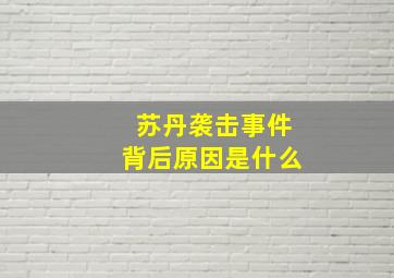 苏丹袭击事件背后原因是什么