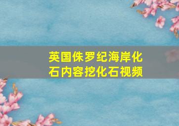 英国侏罗纪海岸化石内容挖化石视频