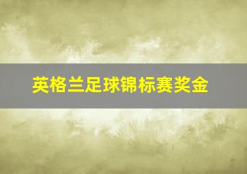 英格兰足球锦标赛奖金