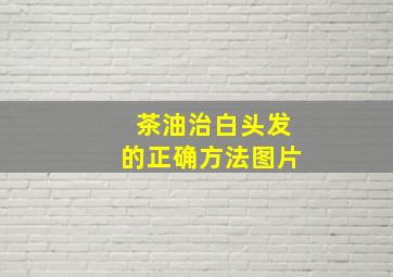 茶油治白头发的正确方法图片