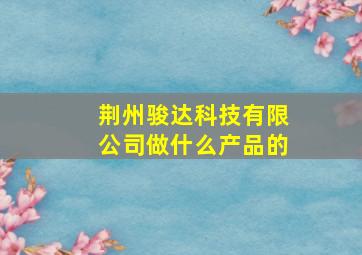 荆州骏达科技有限公司做什么产品的