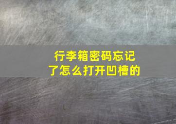 行李箱密码忘记了怎么打开凹槽的