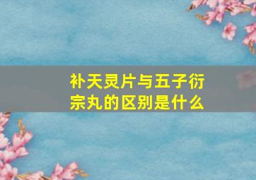 补天灵片与五子衍宗丸的区别是什么