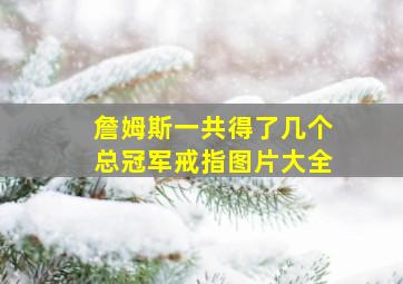 詹姆斯一共得了几个总冠军戒指图片大全