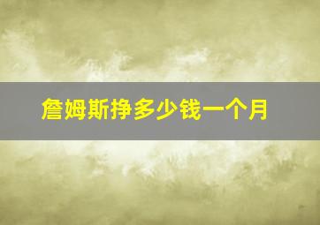 詹姆斯挣多少钱一个月