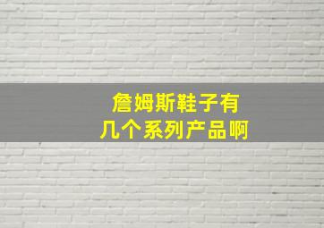 詹姆斯鞋子有几个系列产品啊