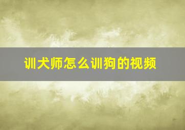 训犬师怎么训狗的视频