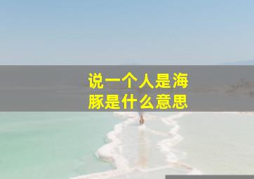 说一个人是海豚是什么意思