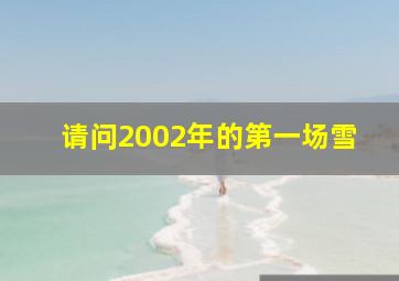 请问2002年的第一场雪