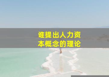 谁提出人力资本概念的理论