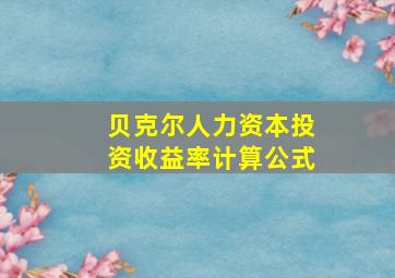 贝克尔人力资本投资收益率计算公式