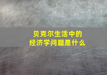 贝克尔生活中的经济学问题是什么