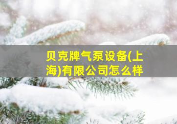 贝克牌气泵设备(上海)有限公司怎么样