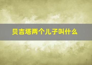 贝吉塔两个儿子叫什么