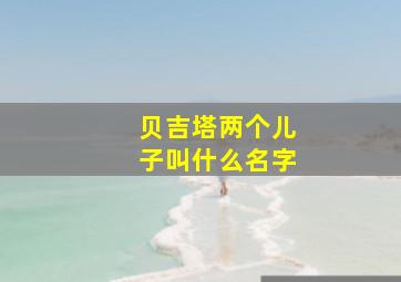 贝吉塔两个儿子叫什么名字