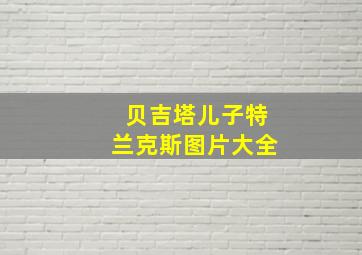 贝吉塔儿子特兰克斯图片大全