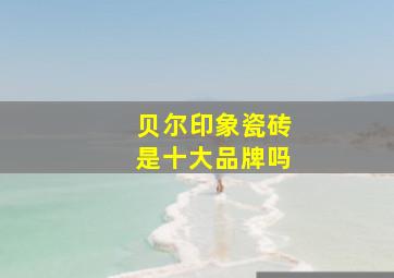 贝尔印象瓷砖是十大品牌吗