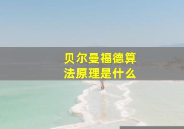 贝尔曼福德算法原理是什么