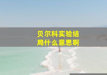 贝尔科实验结局什么意思啊