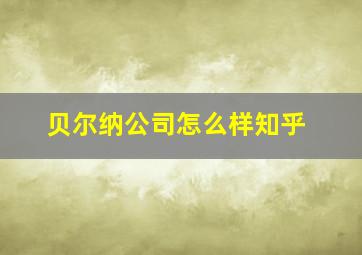 贝尔纳公司怎么样知乎