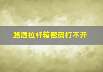 路洒拉杆箱密码打不开