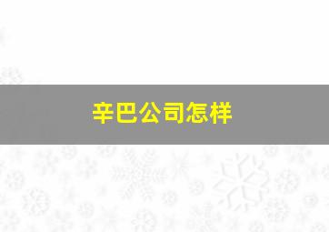 辛巴公司怎样