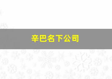 辛巴名下公司