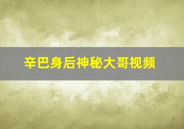 辛巴身后神秘大哥视频