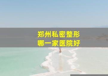 郑州私密整形哪一家医院好