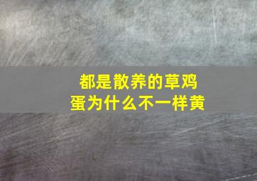 都是散养的草鸡蛋为什么不一样黄