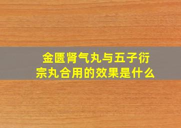 金匮肾气丸与五子衍宗丸合用的效果是什么