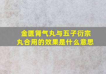 金匮肾气丸与五子衍宗丸合用的效果是什么意思