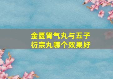 金匮肾气丸与五子衍宗丸哪个效果好